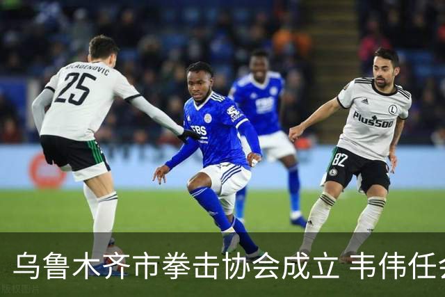 乌鲁木齐市拳击协会成立 韦伟任会长