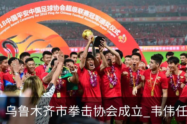 乌鲁木齐市拳击协会成立 韦伟任会长